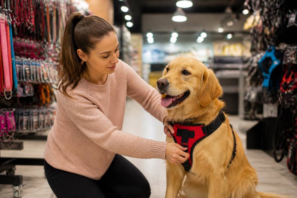 Comment choisir le bon harnais pour chien ou chat : guide pratique pour la sécurité et le confort